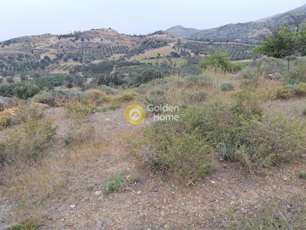 Parcel in Pitsidia, Timpaki — Photo 7 of 23