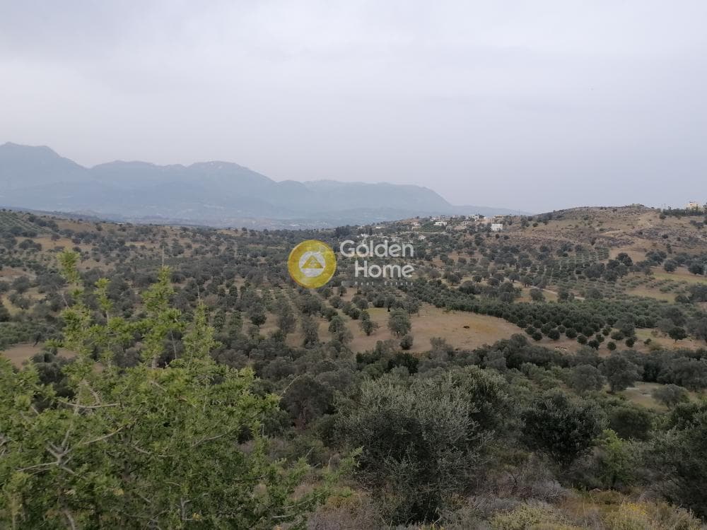 Parcel in Pitsidia, Timpaki — Photo 6 of 23