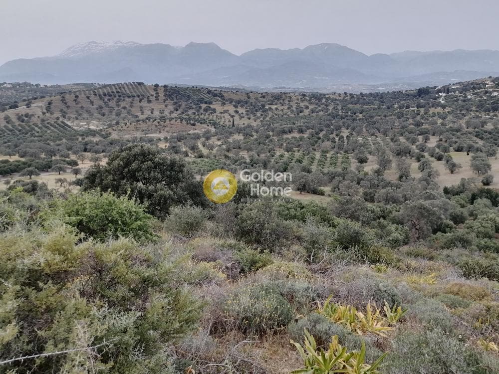 Parcel in Pitsidia, Timpaki — Photo 9 of 23