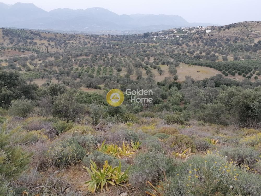 Parcel in Pitsidia, Timpaki — Photo 10 of 23
