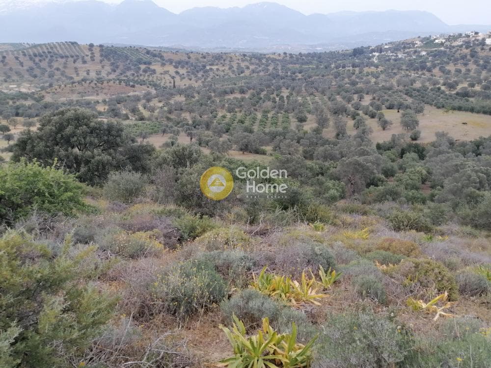 Parcel in Pitsidia, Timpaki — Photo 11 of 23