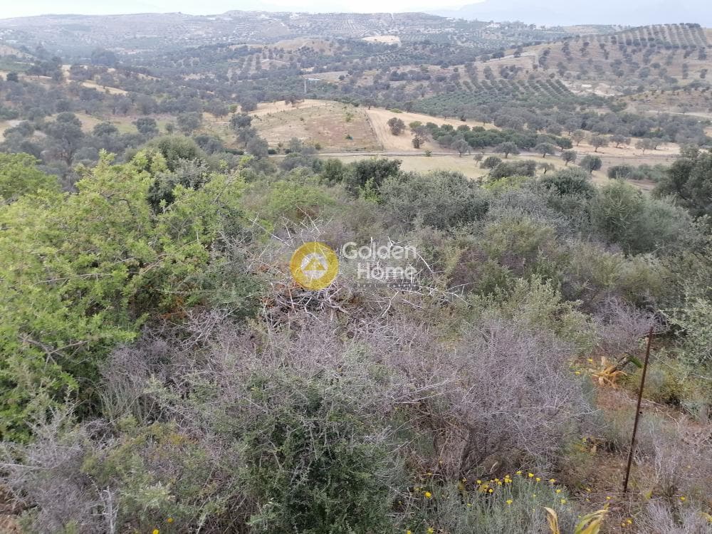 Parcel in Pitsidia, Timpaki — Photo 12 of 23