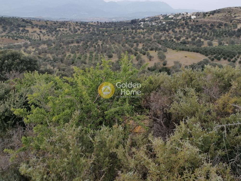 Parcel in Pitsidia, Timpaki — Photo 13 of 23