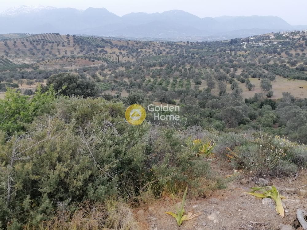 Parcel in Pitsidia, Timpaki — Photo 14 of 23