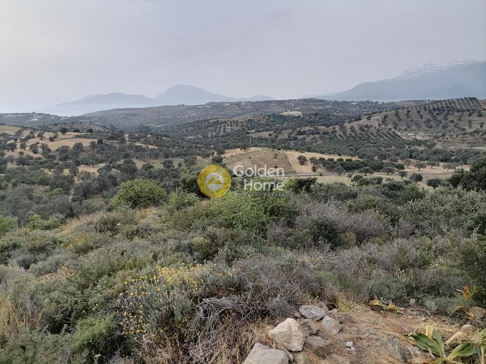 Parcel in Pitsidia, Timpaki — Photo 15 of 23