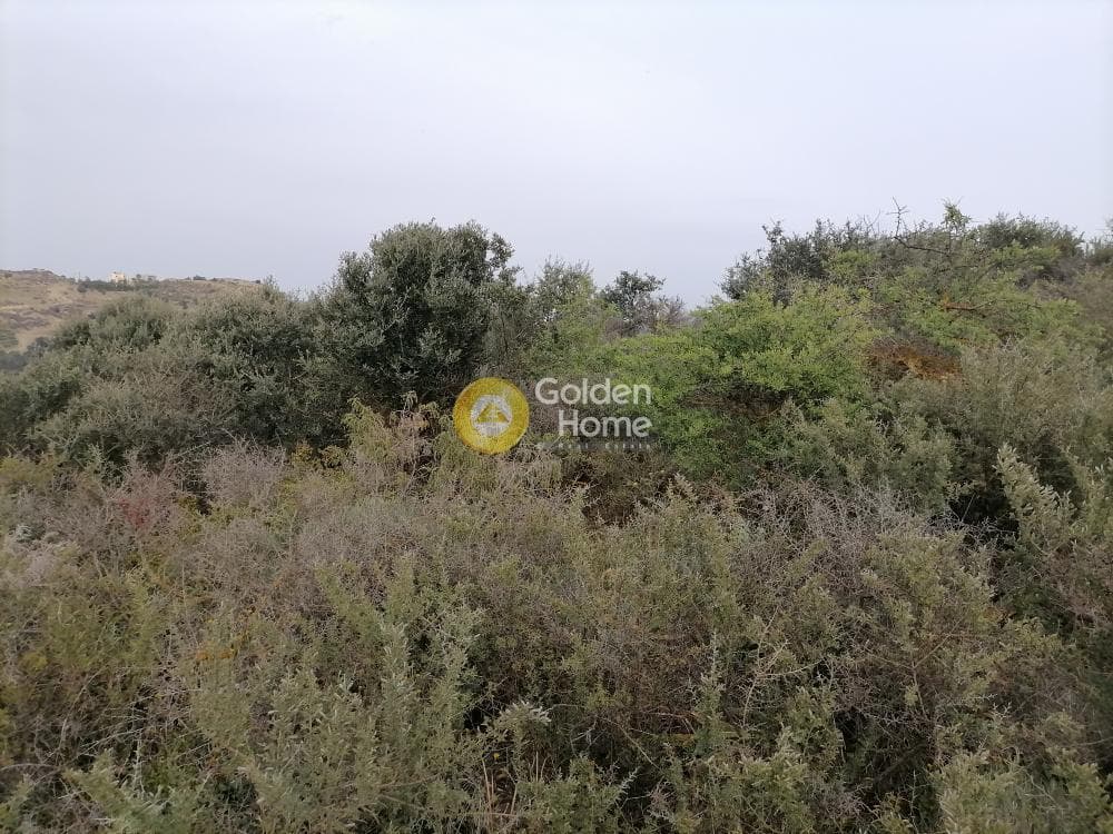 Parcel in Pitsidia, Timpaki — Photo 17 of 23