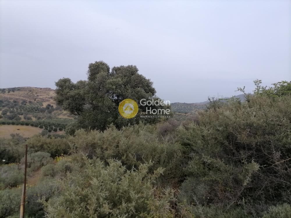 Parcel in Pitsidia, Timpaki — Photo 18 of 23