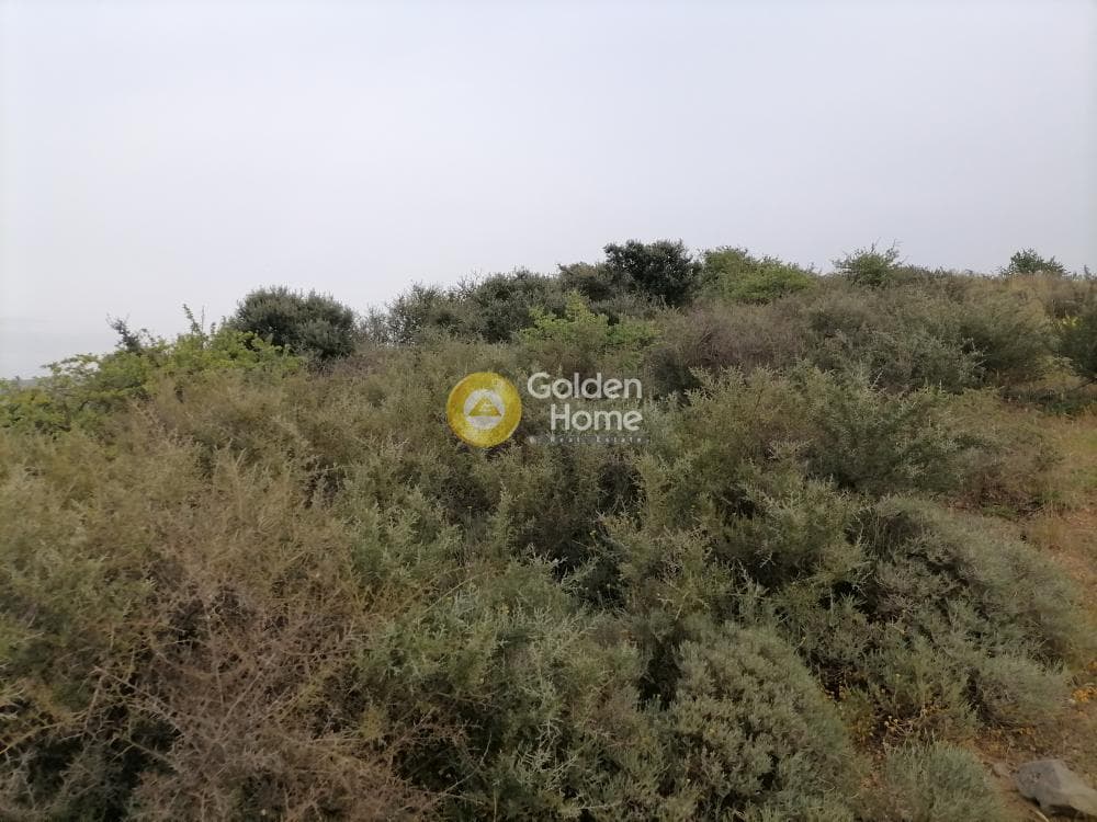 Parcel in Pitsidia, Timpaki — Photo 19 of 23