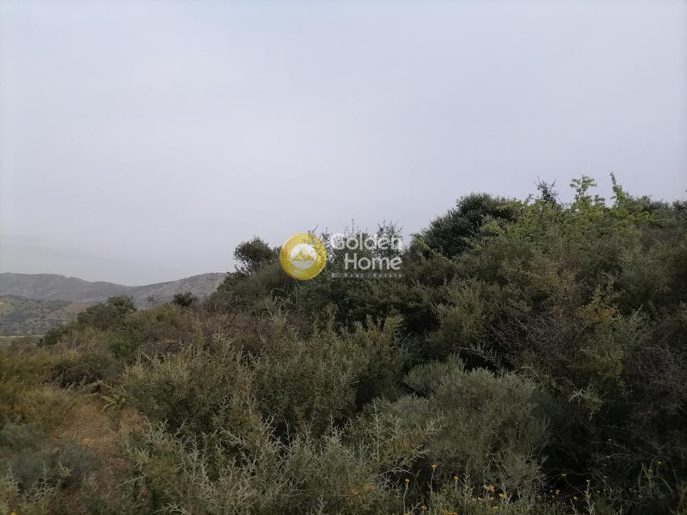 Parcel in Pitsidia, Timpaki — Photo 20 of 23