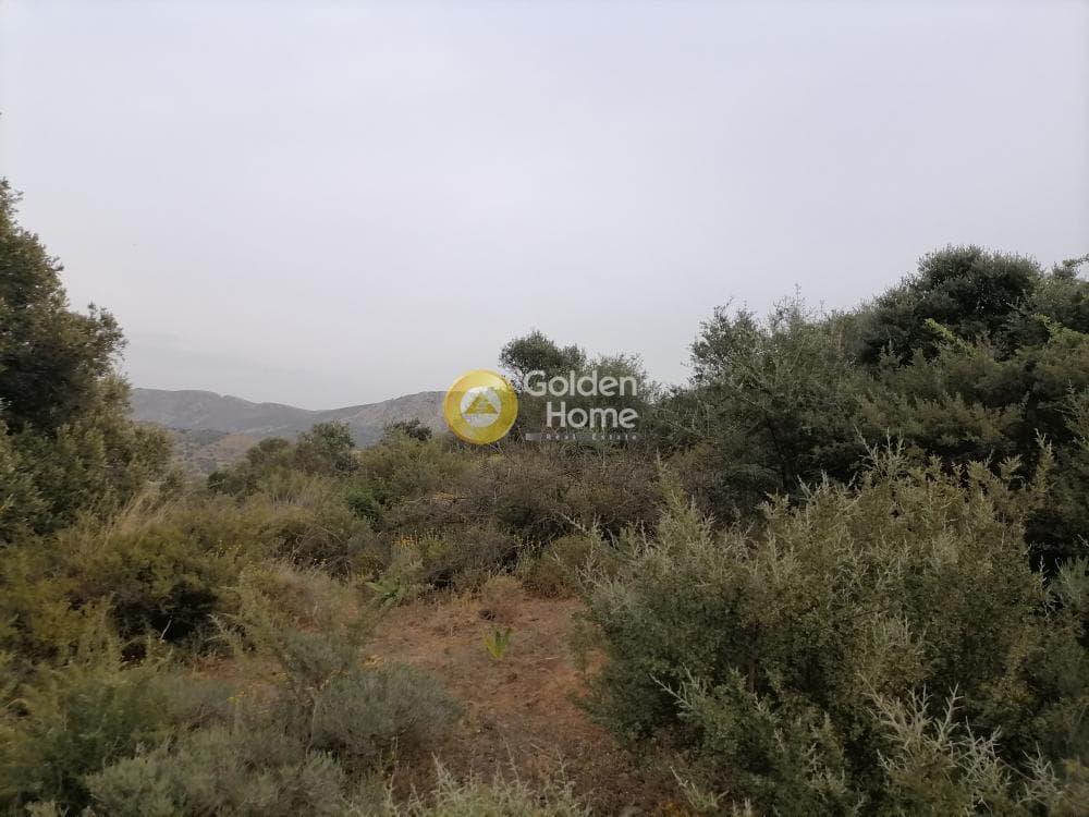 Parcel in Pitsidia, Timpaki — Photo 21 of 23