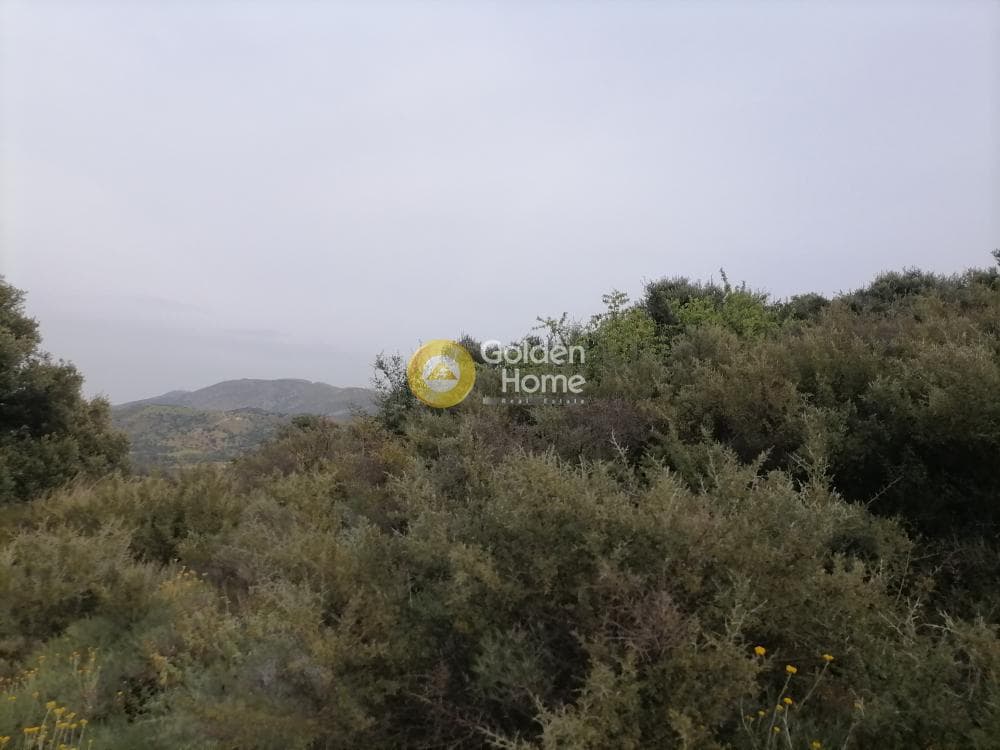Parcel in Pitsidia, Timpaki — Photo 23 of 23