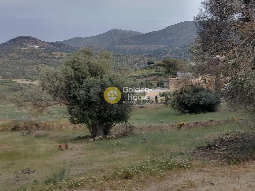 Parcel in Listaros, Moires — Photo 11 of 15