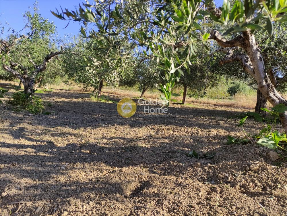 Οικόπεδο στην Επάνω Αρχάνες, Αρχάνες — Φωτογραφία 7 από 8