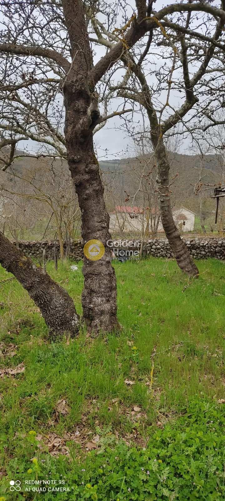 House in Skepasto, Kalavrita — Photo 1 of 19