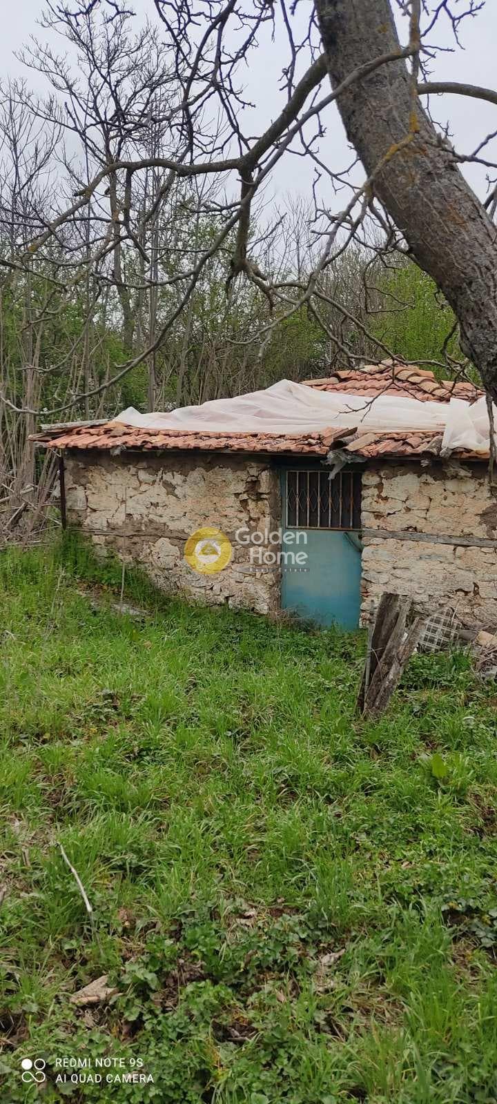 House in Skepasto, Kalavrita — Photo 5 of 19