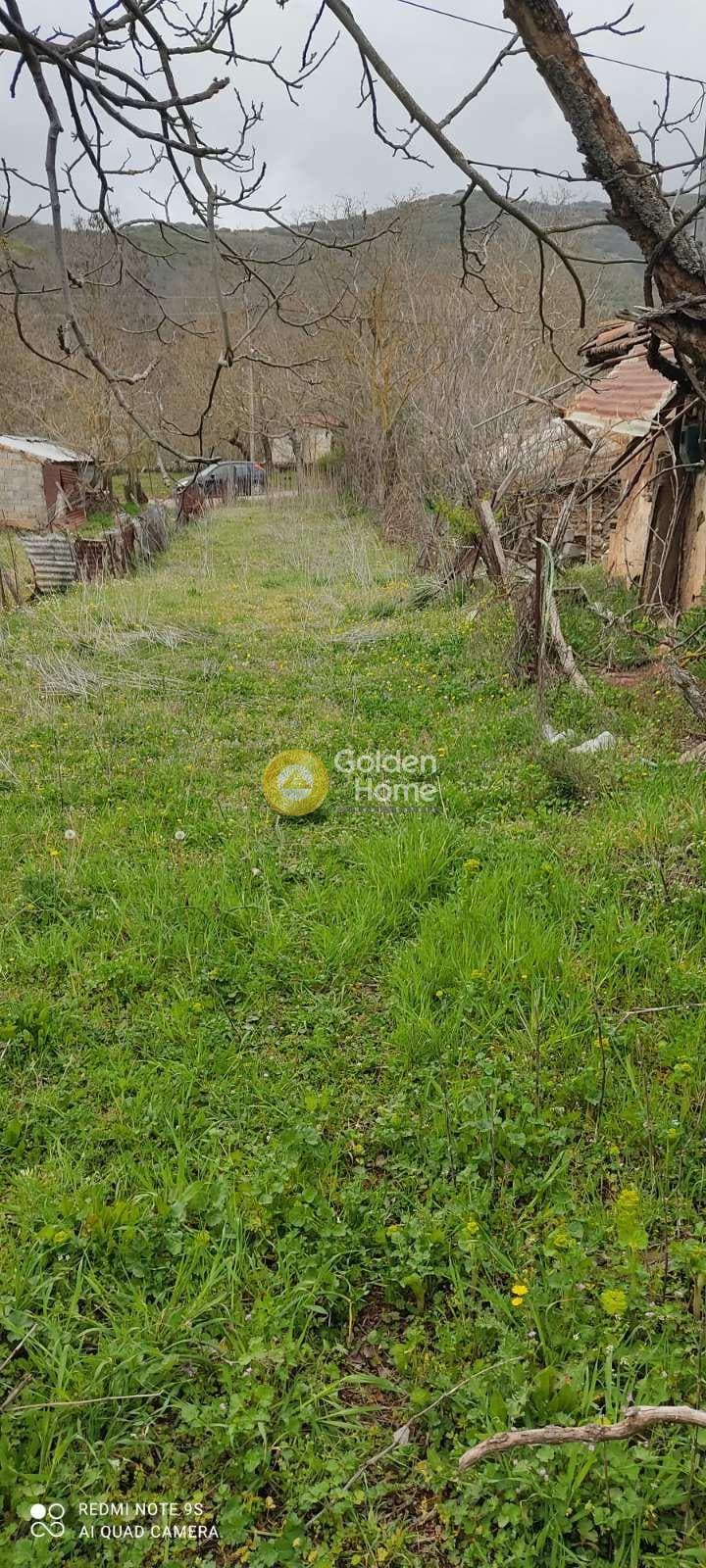 House in Skepasto, Kalavrita — Photo 7 of 19