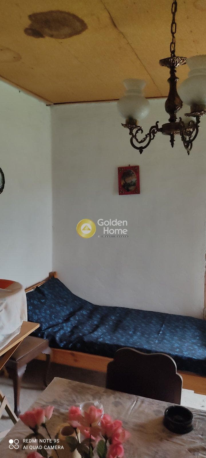 House in Skepasto, Kalavrita — Photo 11 of 19