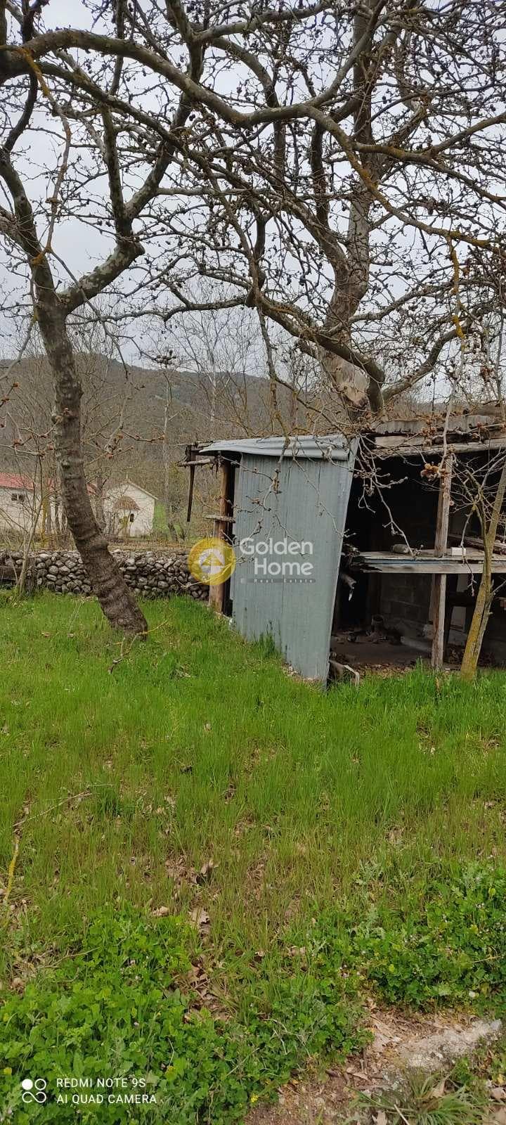 House in Skepasto, Kalavrita — Photo 13 of 19