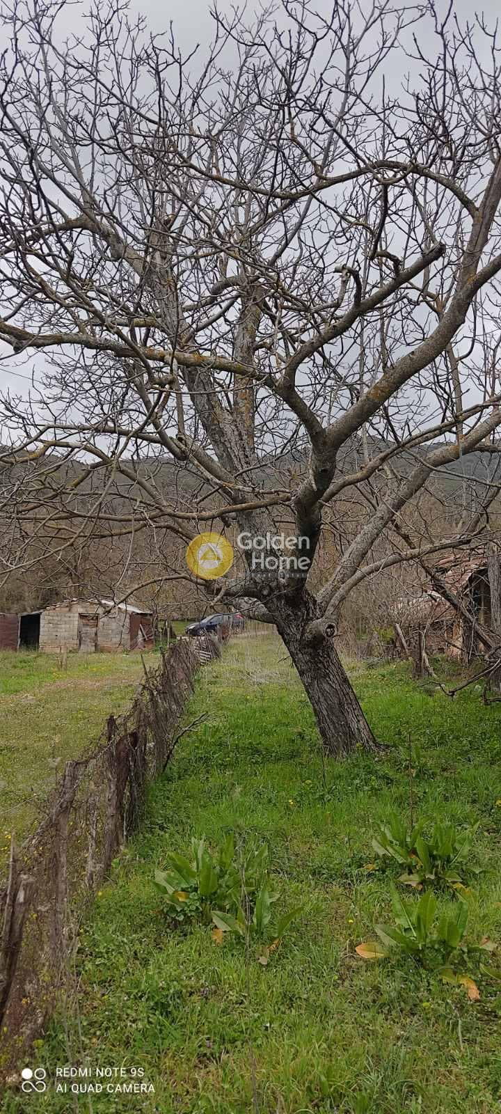House in Skepasto, Kalavrita — Photo 14 of 19