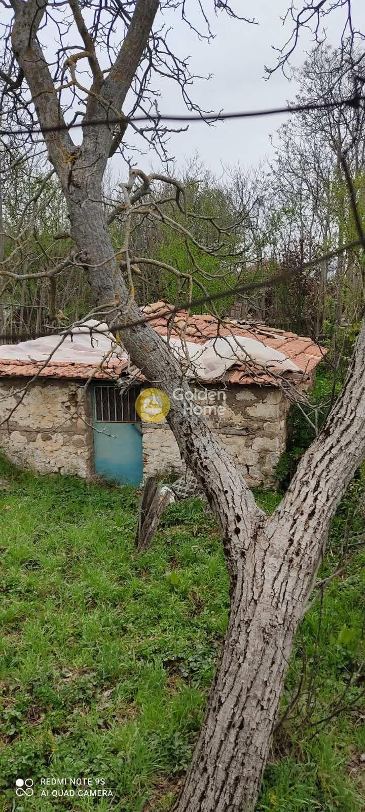 House in Skepasto, Kalavrita — Photo 18 of 19