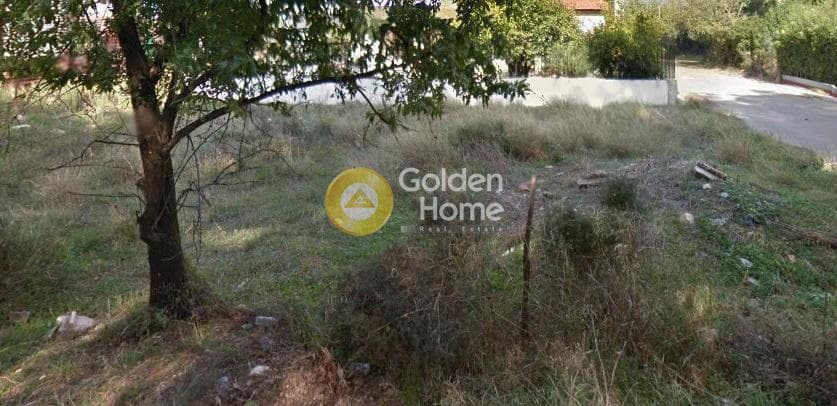 Building Plot in Adames Oikismos Grammos - Foinikas, Kifisia — Photo 2 of 2