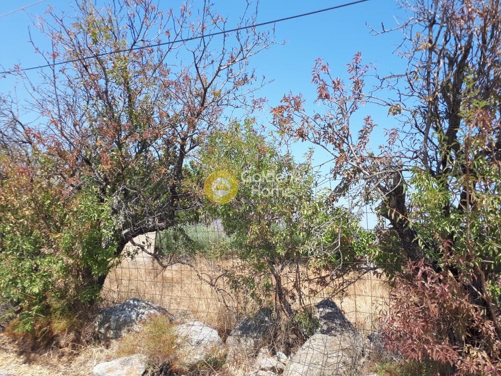 Οικόπεδο στην Πετροκέφαλο, Τετραχώρι — Φωτογραφία 1 από 5
