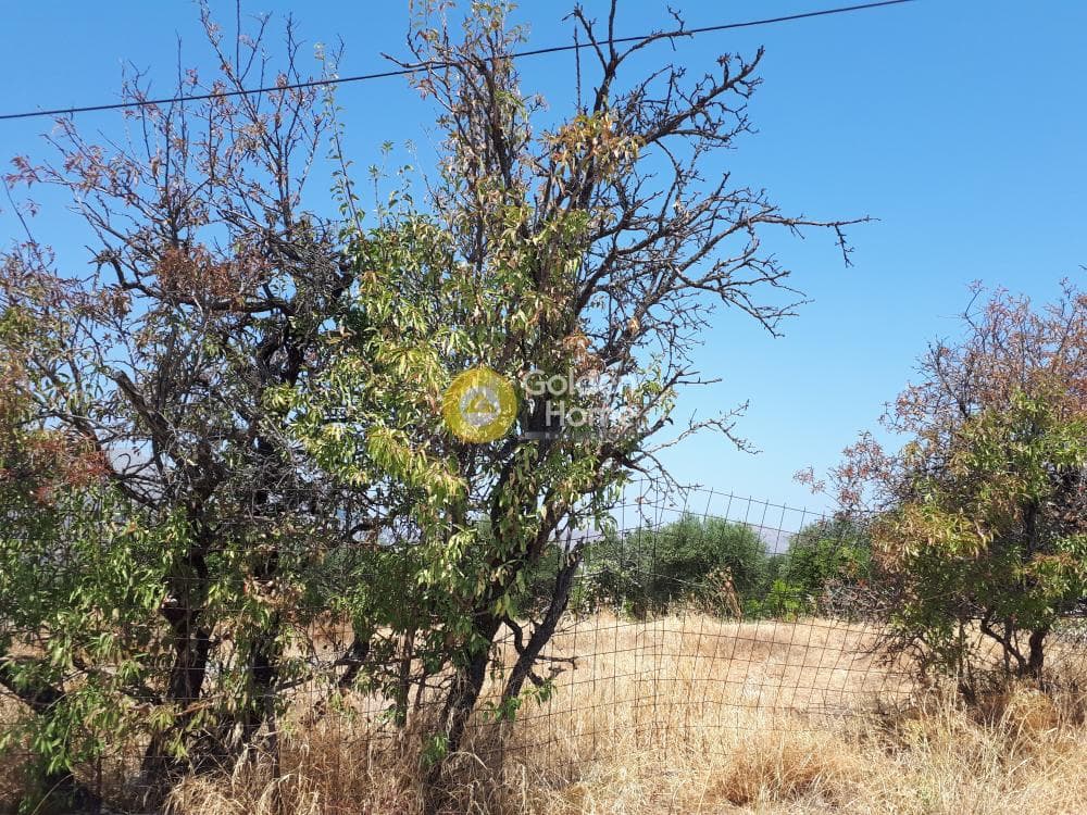 Οικόπεδο στην Πετροκέφαλο, Τετραχώρι — Φωτογραφία 2 από 5