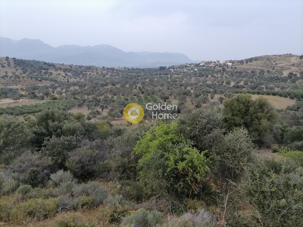 Αγροτεμάχιο στην Πιτσίδια, Τυμπάκι — Φωτογραφία 6 από 20
