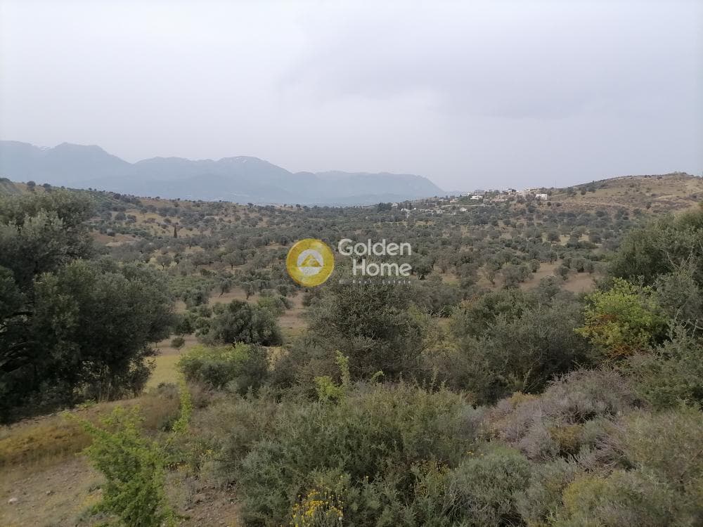 Αγροτεμάχιο στην Πιτσίδια, Τυμπάκι — Φωτογραφία 7 από 20
