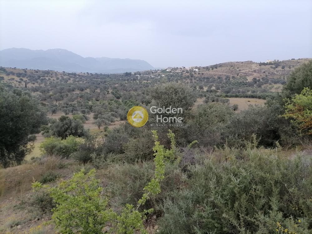 Αγροτεμάχιο στην Πιτσίδια, Τυμπάκι — Φωτογραφία 10 από 20