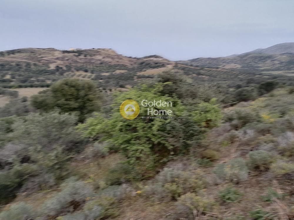Αγροτεμάχιο στην Πιτσίδια, Τυμπάκι — Φωτογραφία 16 από 20