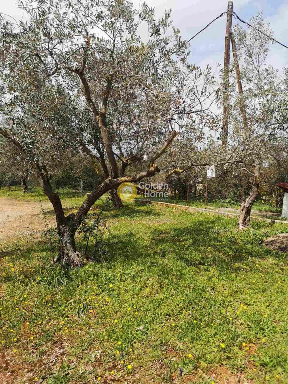 Μονοκατοικία στην Καπανδρίτι, Κ. Καπανδριτίου — Φωτογραφία 10 από 46