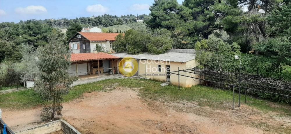 Μονοκατοικία στην Καπανδρίτι, Κ. Καπανδριτίου — Φωτογραφία 39 από 46