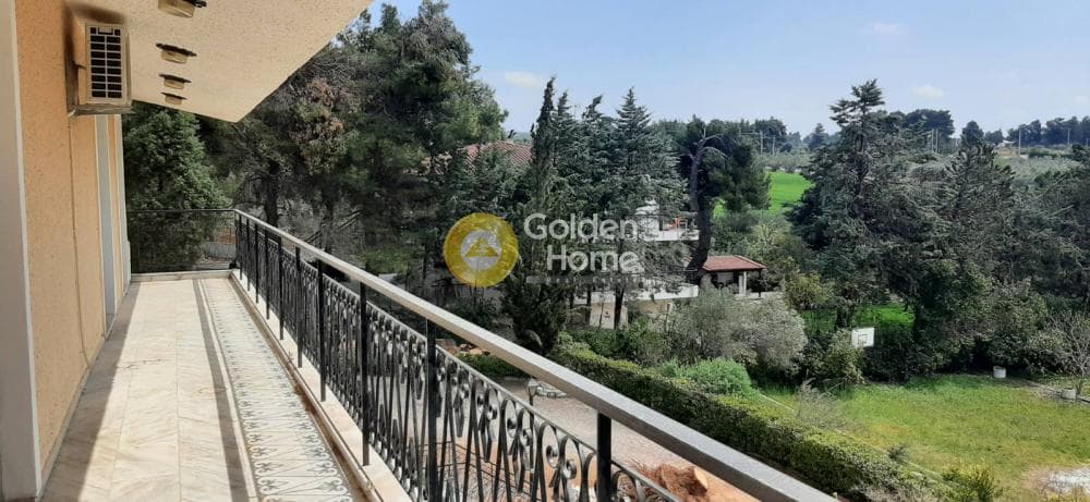 Μονοκατοικία στην Καπανδρίτι, Κ. Καπανδριτίου — Φωτογραφία 34 από 47