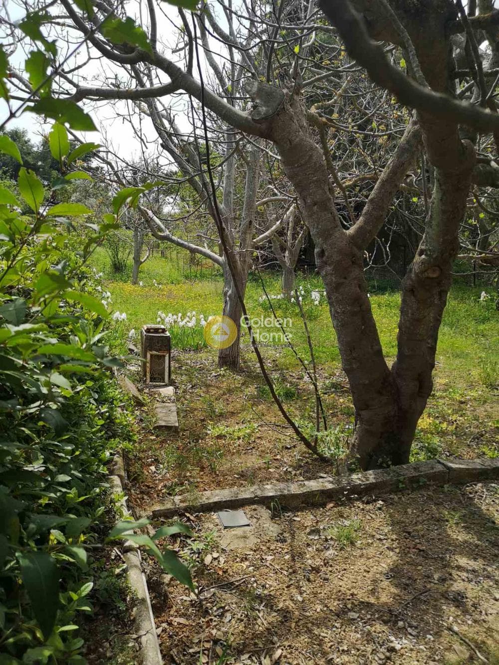 Μονοκατοικία στην Καπανδρίτι, Κ. Καπανδριτίου — Φωτογραφία 16 από 54