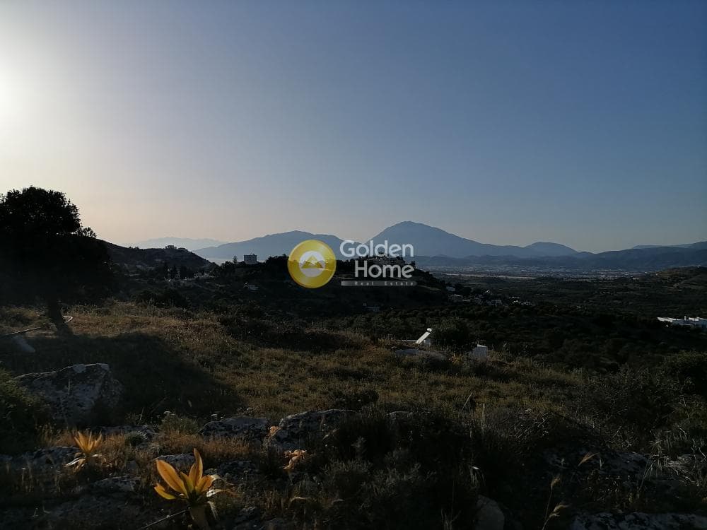 Αγροτεμάχιο στην Καμηλάρι, Τυμπάκι — Φωτογραφία 6 από 25