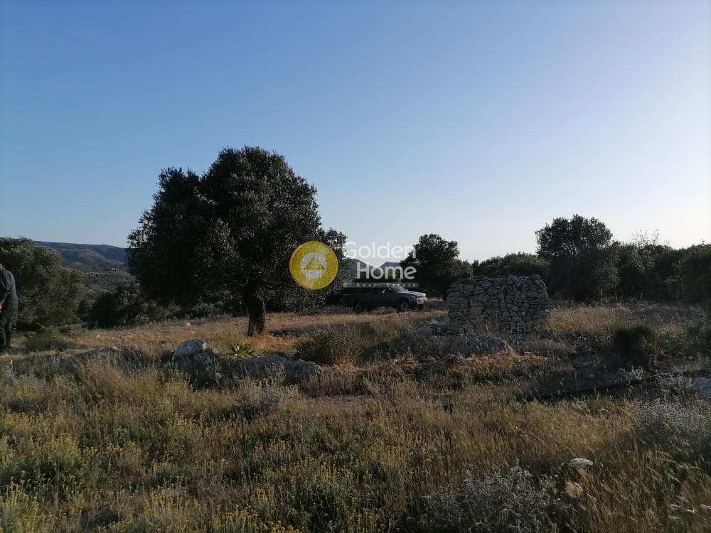 Αγροτεμάχιο στην Καμηλάρι, Τυμπάκι — Φωτογραφία 7 από 25