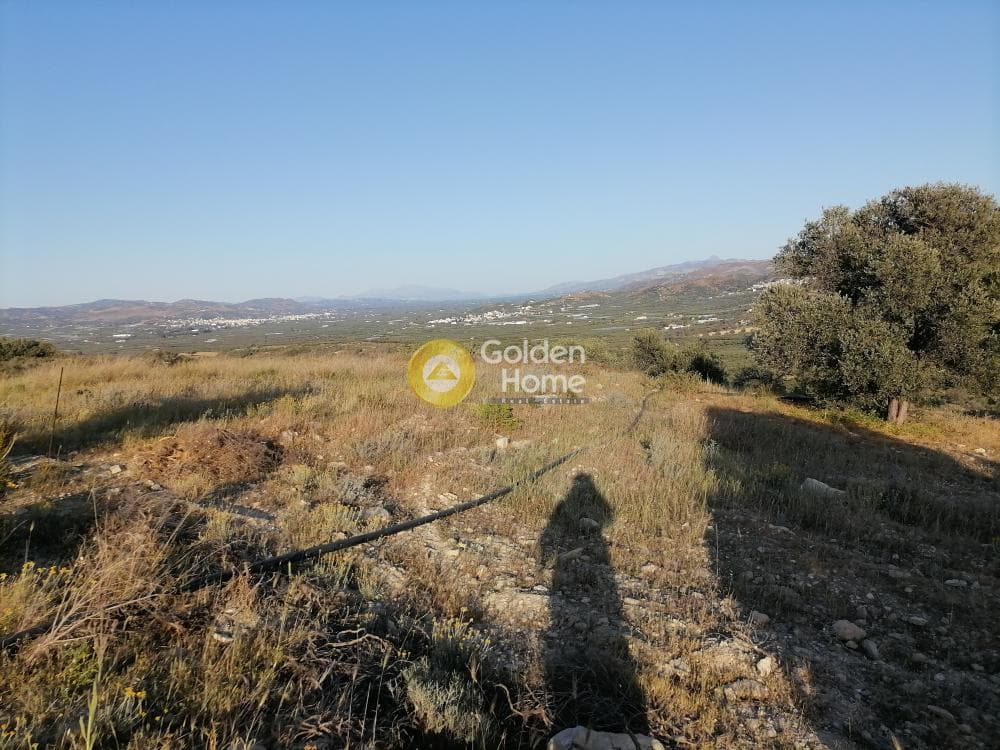 Αγροτεμάχιο στην Καμηλάρι, Τυμπάκι — Φωτογραφία 8 από 25