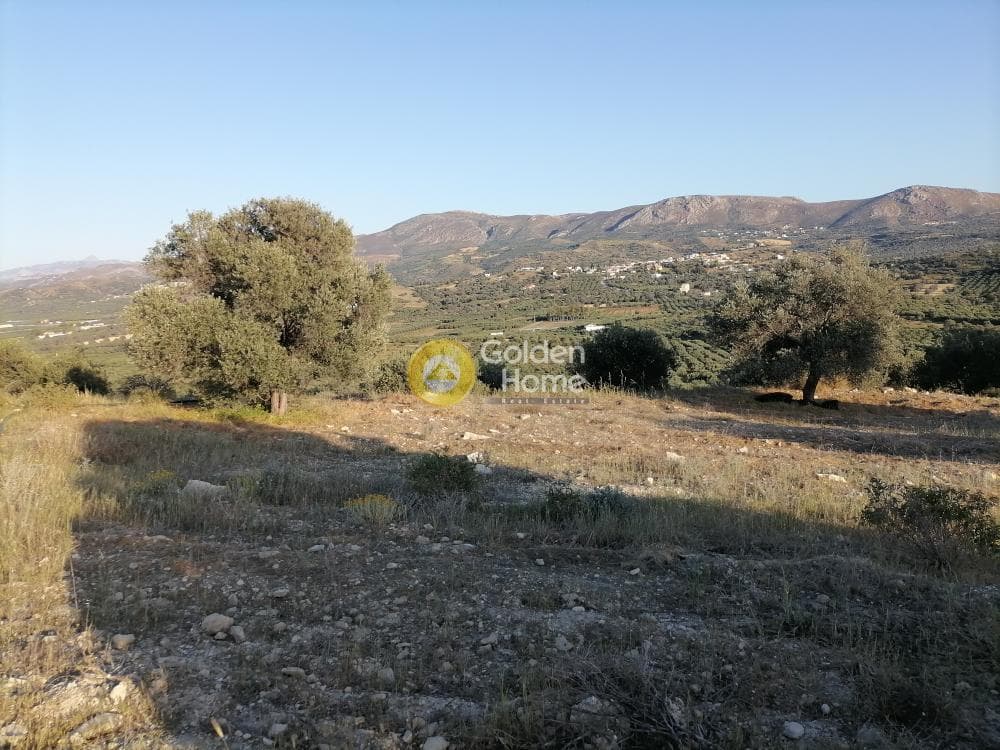 Αγροτεμάχιο στην Καμηλάρι, Τυμπάκι — Φωτογραφία 9 από 25