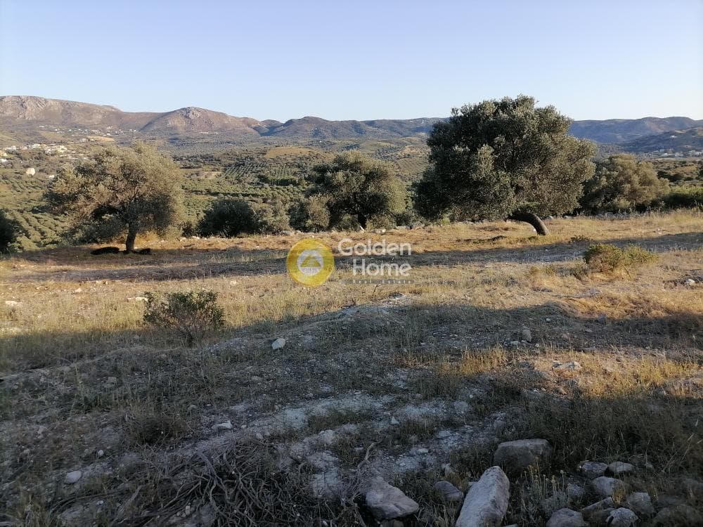 Αγροτεμάχιο στην Καμηλάρι, Τυμπάκι — Φωτογραφία 10 από 25