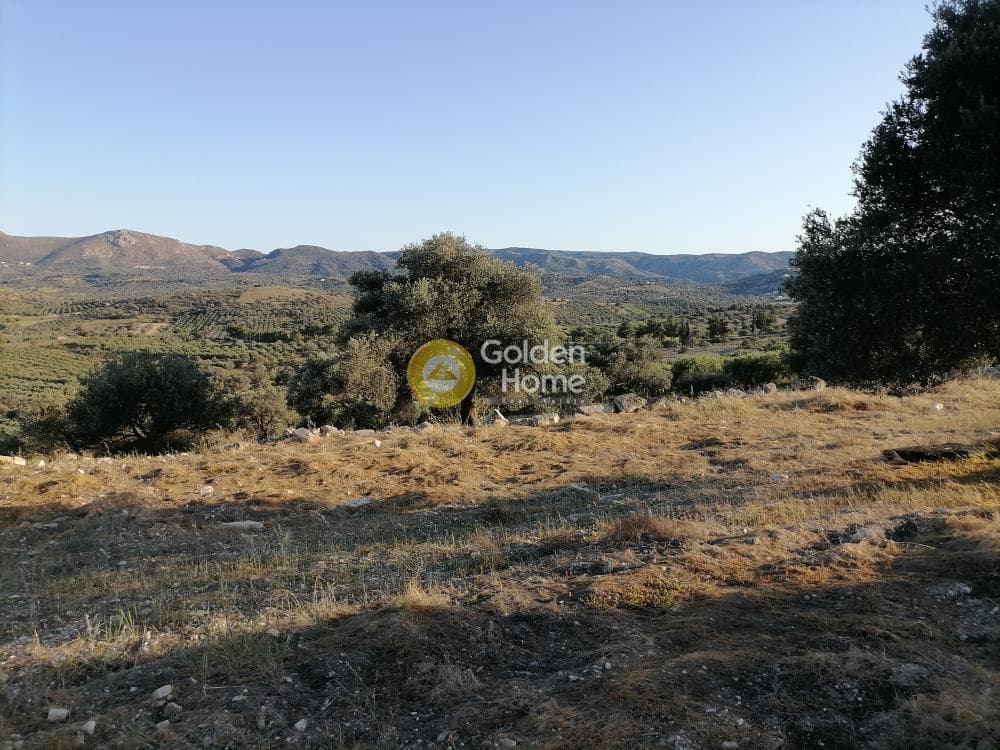 Αγροτεμάχιο στην Καμηλάρι, Τυμπάκι — Φωτογραφία 11 από 25