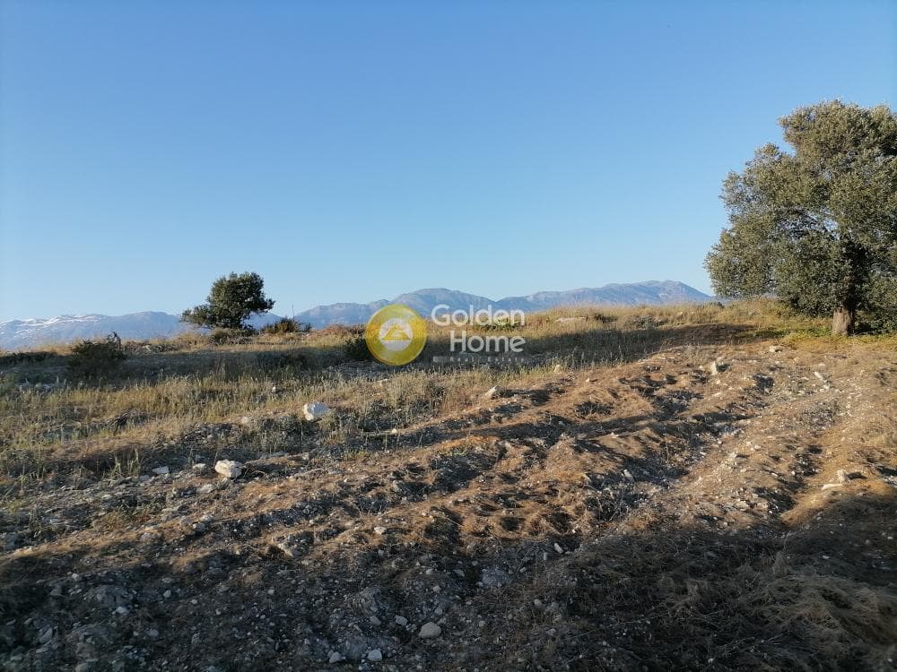 Αγροτεμάχιο στην Καμηλάρι, Τυμπάκι — Φωτογραφία 13 από 25