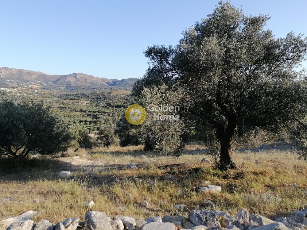 Αγροτεμάχιο στην Καμηλάρι, Τυμπάκι — Φωτογραφία 14 από 25