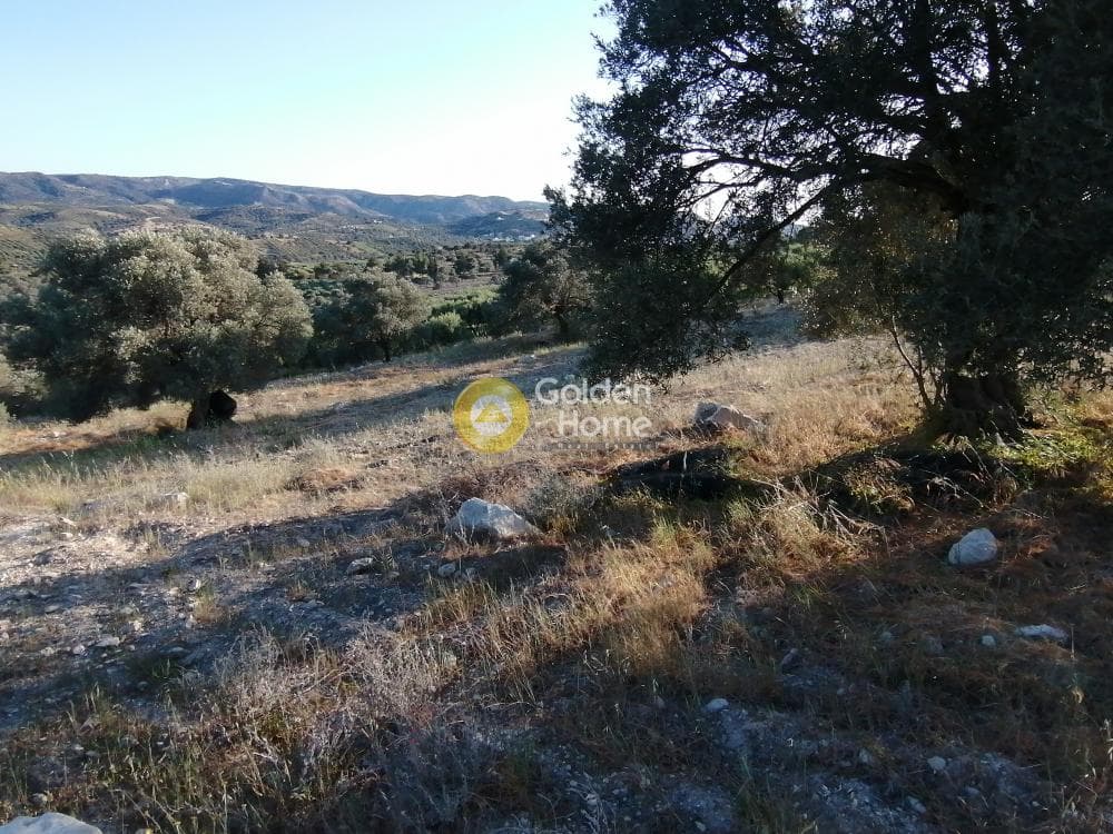 Αγροτεμάχιο στην Καμηλάρι, Τυμπάκι — Φωτογραφία 16 από 25
