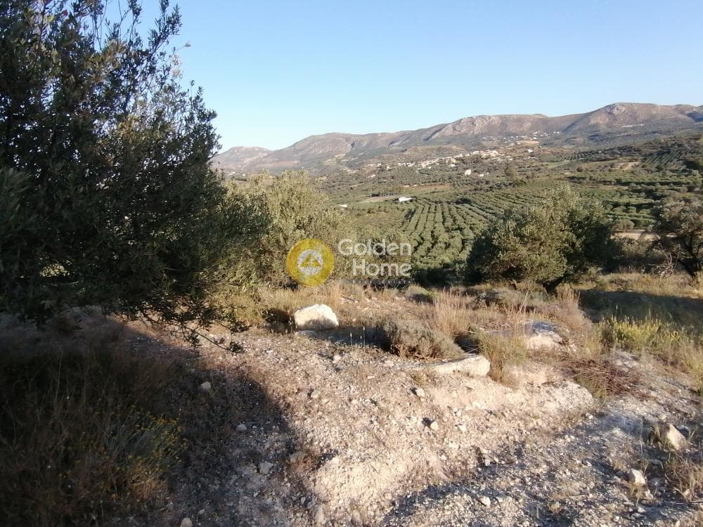 Αγροτεμάχιο στην Καμηλάρι, Τυμπάκι — Φωτογραφία 17 από 25