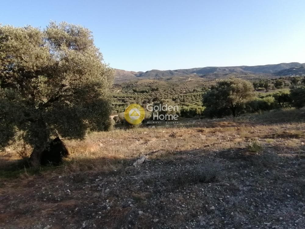 Αγροτεμάχιο στην Καμηλάρι, Τυμπάκι — Φωτογραφία 18 από 25
