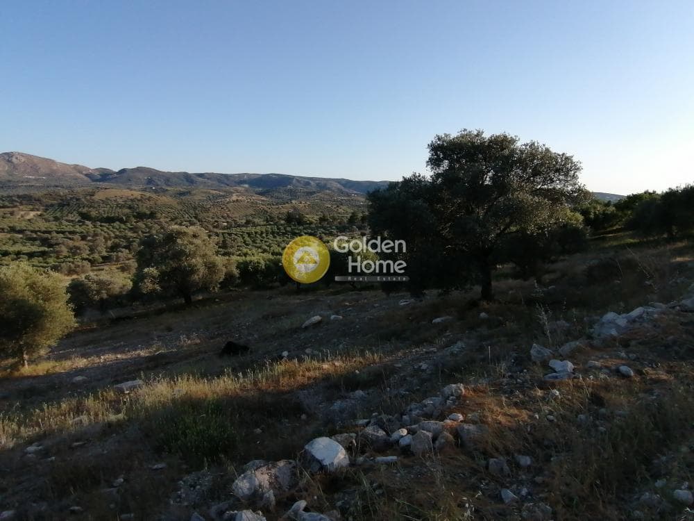 Αγροτεμάχιο στην Καμηλάρι, Τυμπάκι — Φωτογραφία 19 από 25