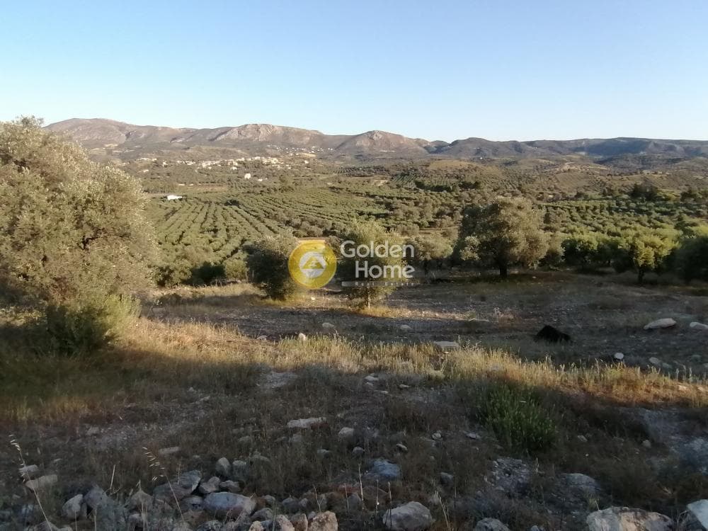 Αγροτεμάχιο στην Καμηλάρι, Τυμπάκι — Φωτογραφία 20 από 25