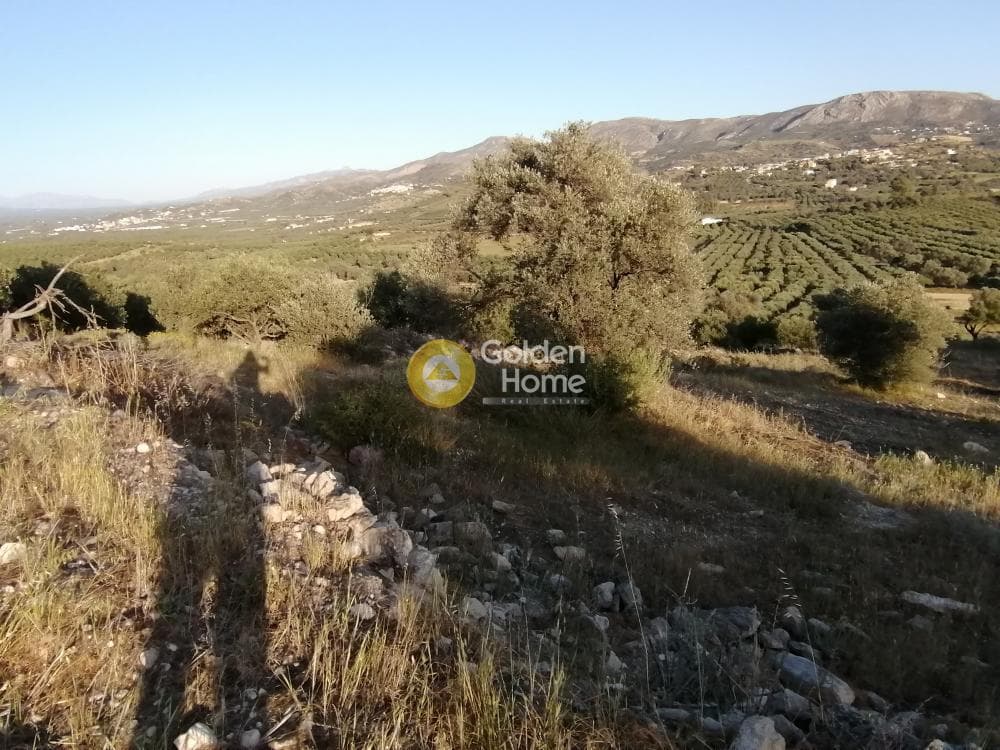 Αγροτεμάχιο στην Καμηλάρι, Τυμπάκι — Φωτογραφία 21 από 25