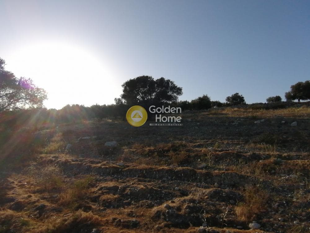 Αγροτεμάχιο στην Καμηλάρι, Τυμπάκι — Φωτογραφία 22 από 25